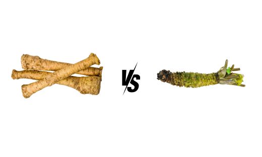 Horseradish vs. Wasabi