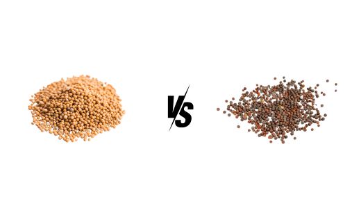 Yellow vs. Brown Mustard Seeds