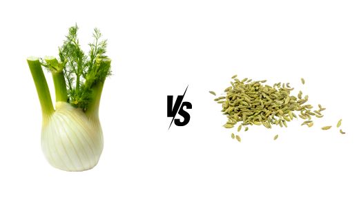 Fennel Bulb vs. Fennel Seed