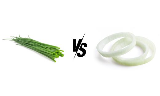 chives vs onions