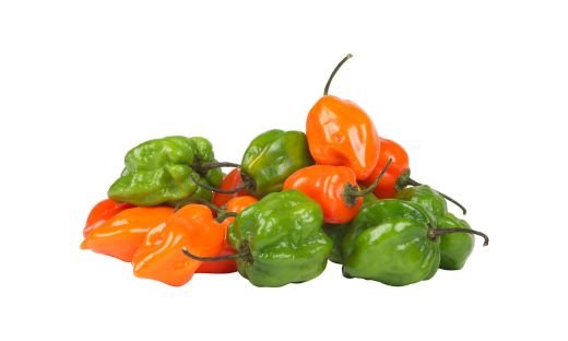 Habanero