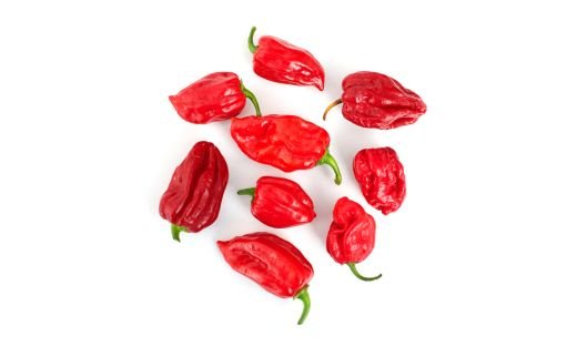 Where can I use Habanero?