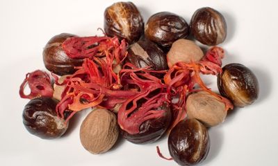 Exploring Mace: The Lesser-Known Sibling of Nutmeg and Its Culinary Uses