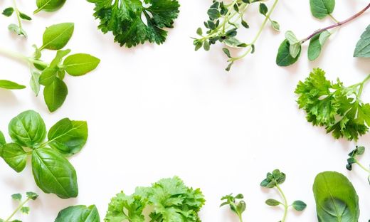 Cooking with Fresh Herbs: Tips and Tricks