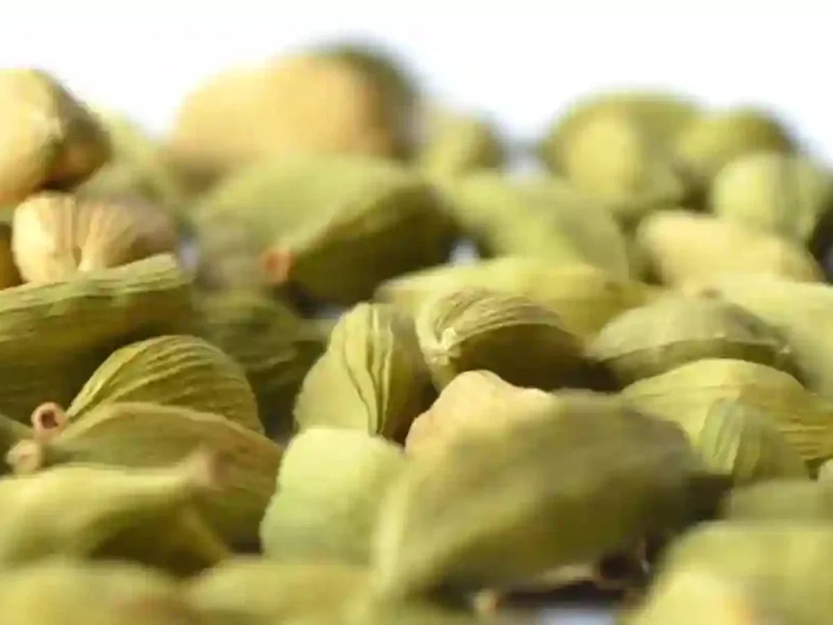 Cardamom — iSpice spice guide
