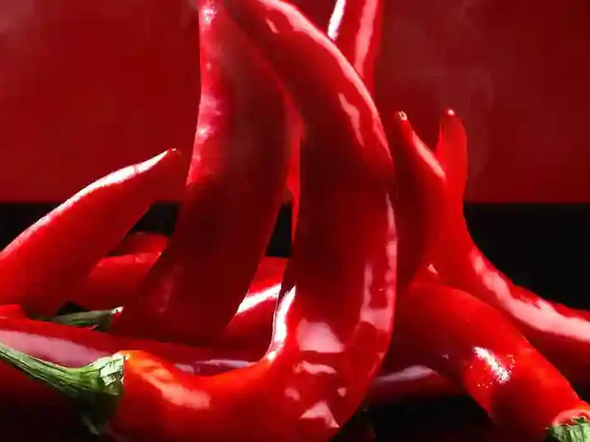 Chili Pepper — iSpice spice guide