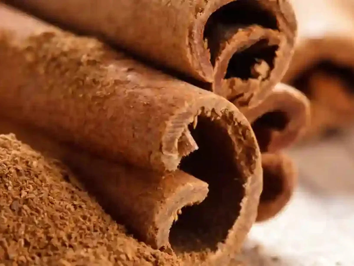 Cinnamon — iSpice spice guide