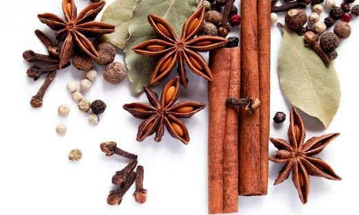 what is the difference between spice and seasoning