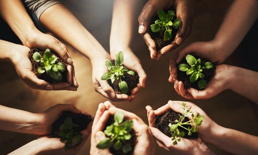 Sustainability in seasoning: How to source and use spices in a sustainable way to reduce environmental impact.