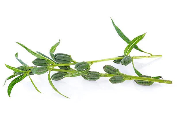 Sesame seed is a common ingredient in many cuisines across the world.