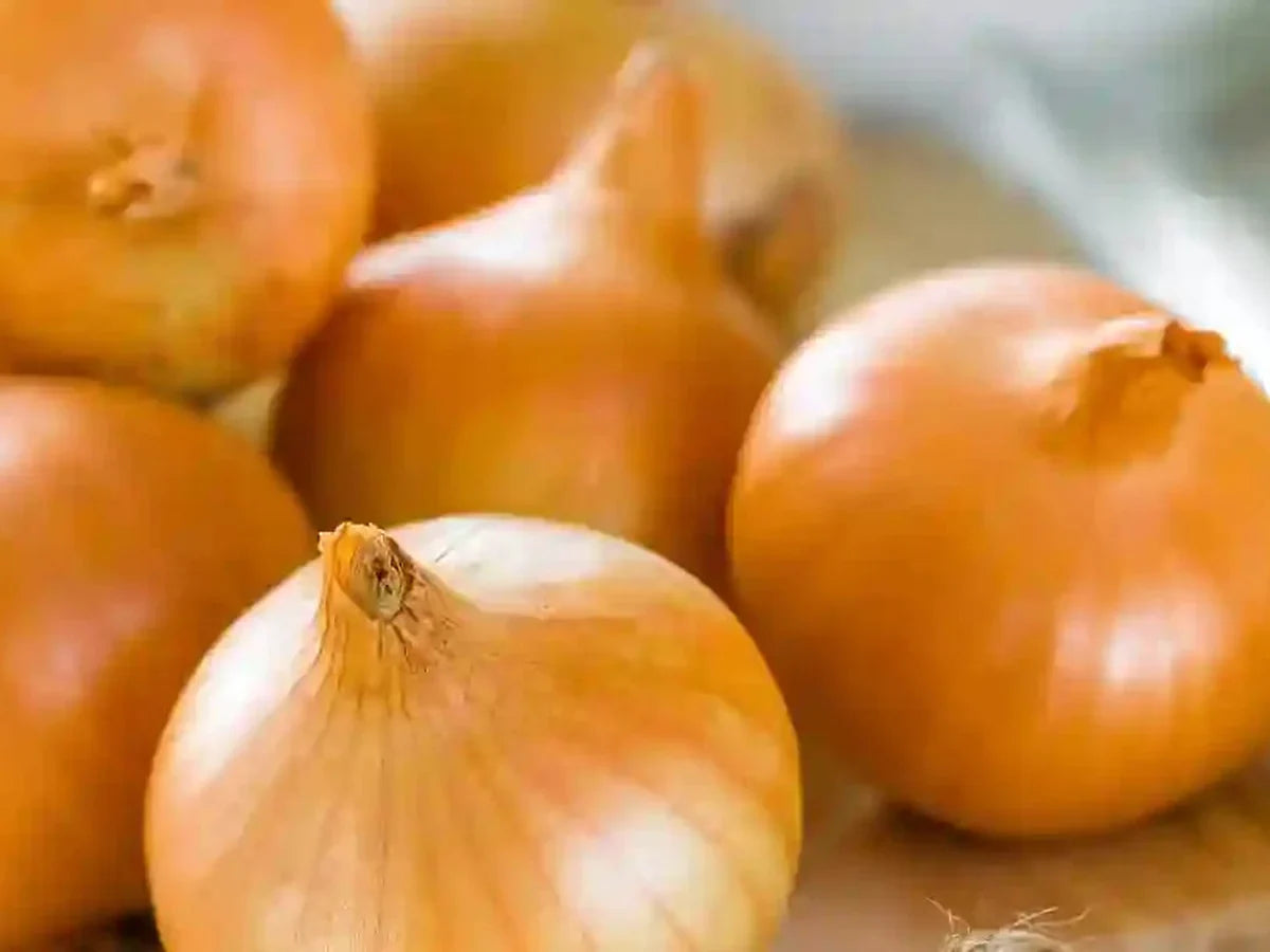 Onion — iSpice spice guide