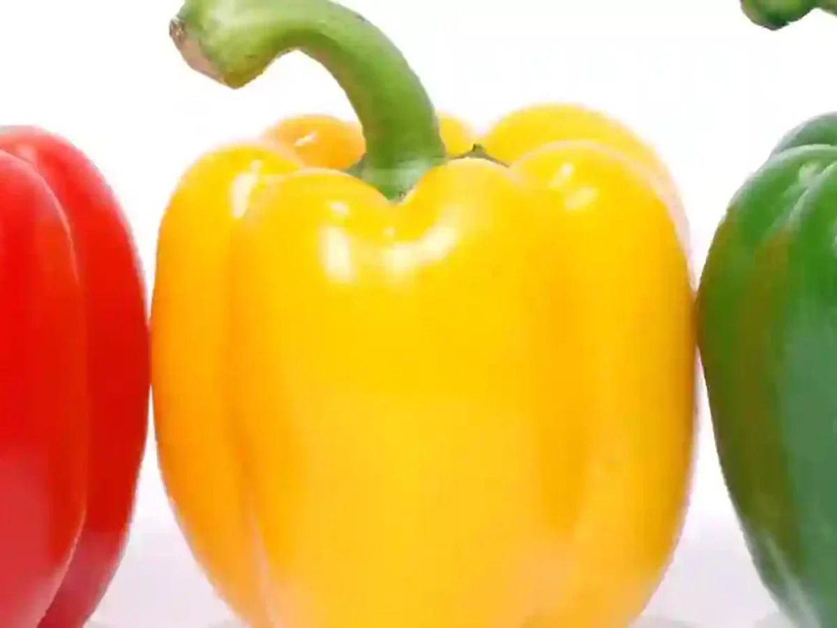 Paprika — iSpice spice guide