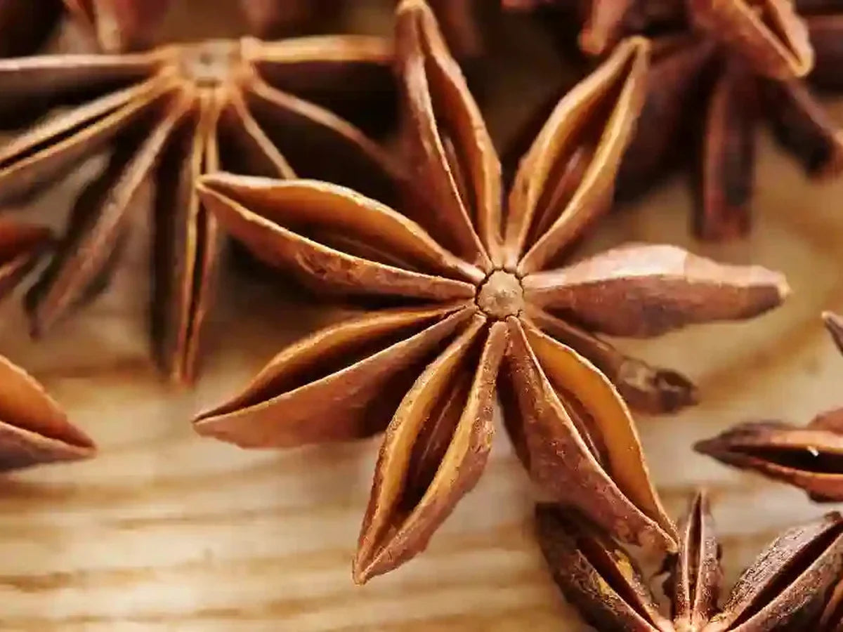 Star Anise — iSpice spice guide