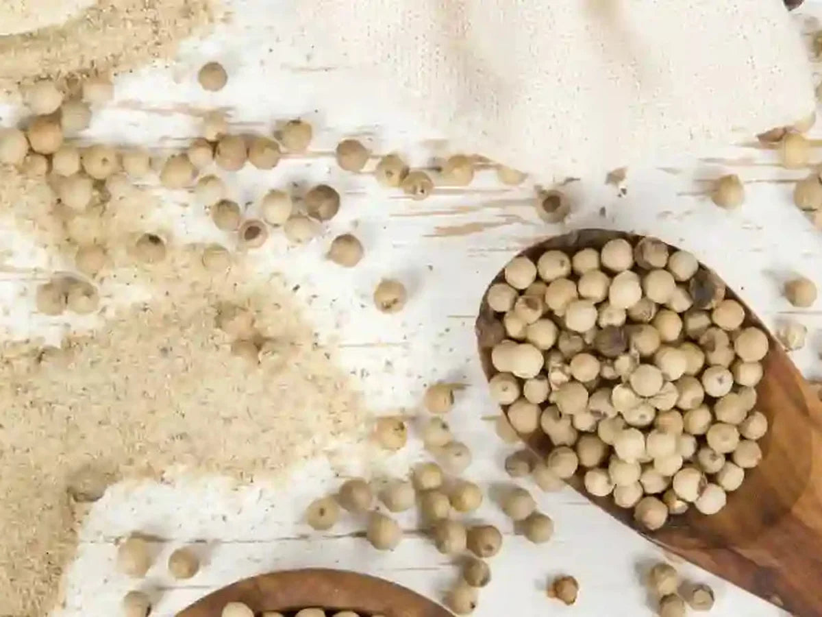 White Pepper — iSpice spice guide