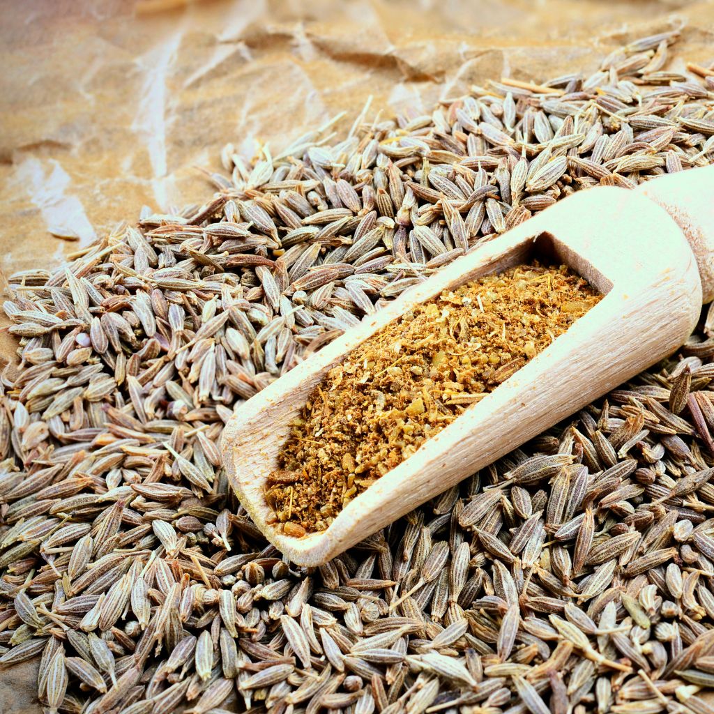 Cumin ground Culinary uses of ground cumin Cooking with ground cumin Earthy flavors of ground cumin Incorporating ground cumin Ground cumin in recipes Aromatic ground cumin Ground cumin for spice blends Ground cumin for curries Ground cumin for Mexican cuisine