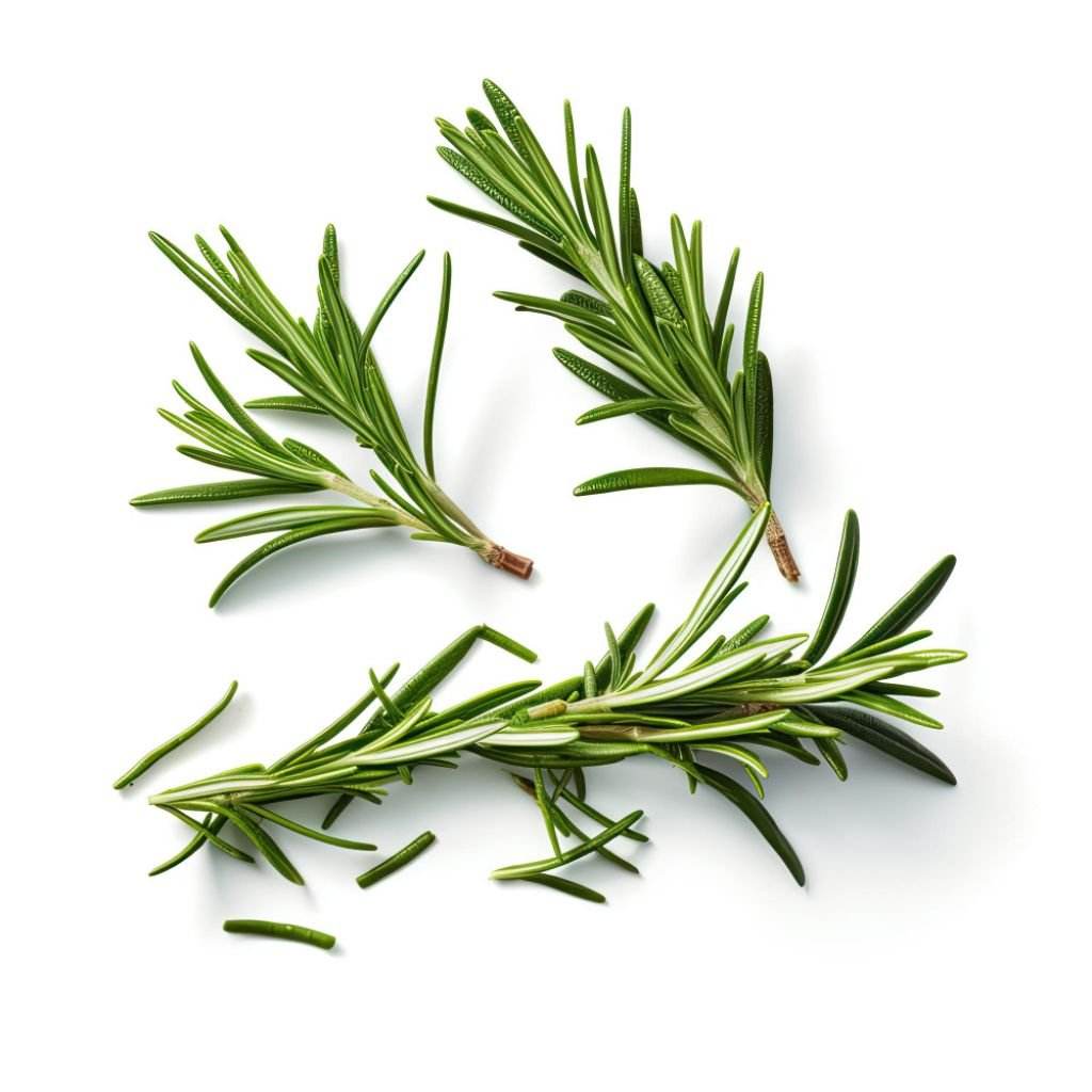 iSpice | Rosemary Ground | 4 oz | Premium Herbs | Kosher | Culinary boost - iSpice You