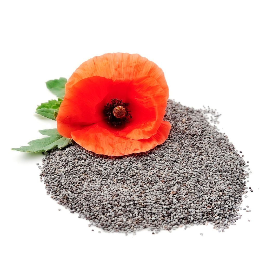 Uses of whole poppy seeds Culinary applications of poppy seeds Cooking with whole poppy seeds Nutty flavor of whole poppy seeds Incorporating whole poppy seeds in recipes Whole poppy seeds in baking Whole poppy seeds in breads and pastries Whole poppy seeds in muffins Whole poppy seeds in cakes