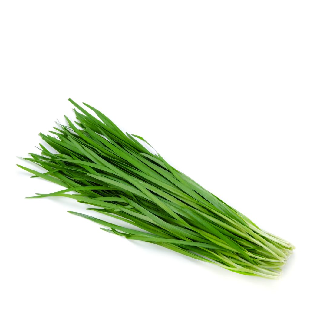 Chives Culinary uses of chives Cooking with chives Fresh chives in recipes Chives for garnishing Incorporating chives&#39; mild onion flavor Chives for adding freshness Versatile chives in dishes Chives for enhancing salads Chives for potato dishes Chives for soups
