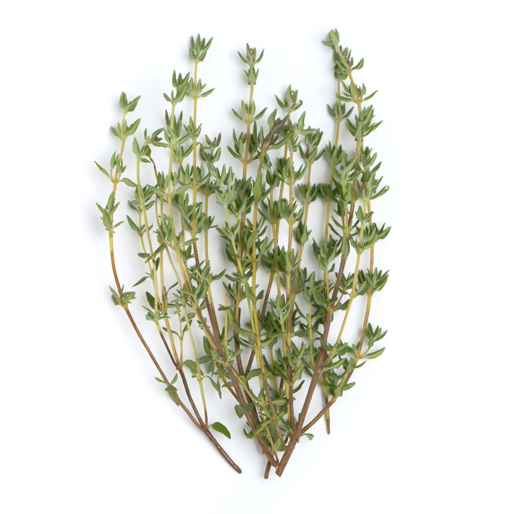 Naturopathic Kitchen: The Health Benefits of Thyme