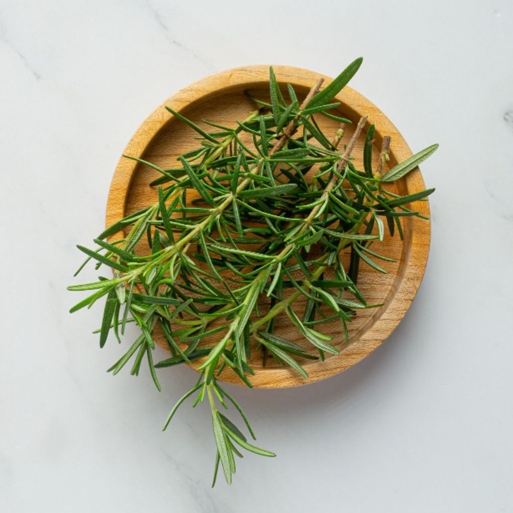 Ground Thyme uses Culinary applications of Ground Thyme Cooking with Ground Thyme