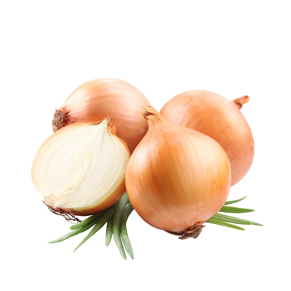 Incorporating chopped onions in dishes Onion varieties for chopping Chopped onions in salads Onion and garlic combination Tips for chopping onions without tears Sautéed chopped onions