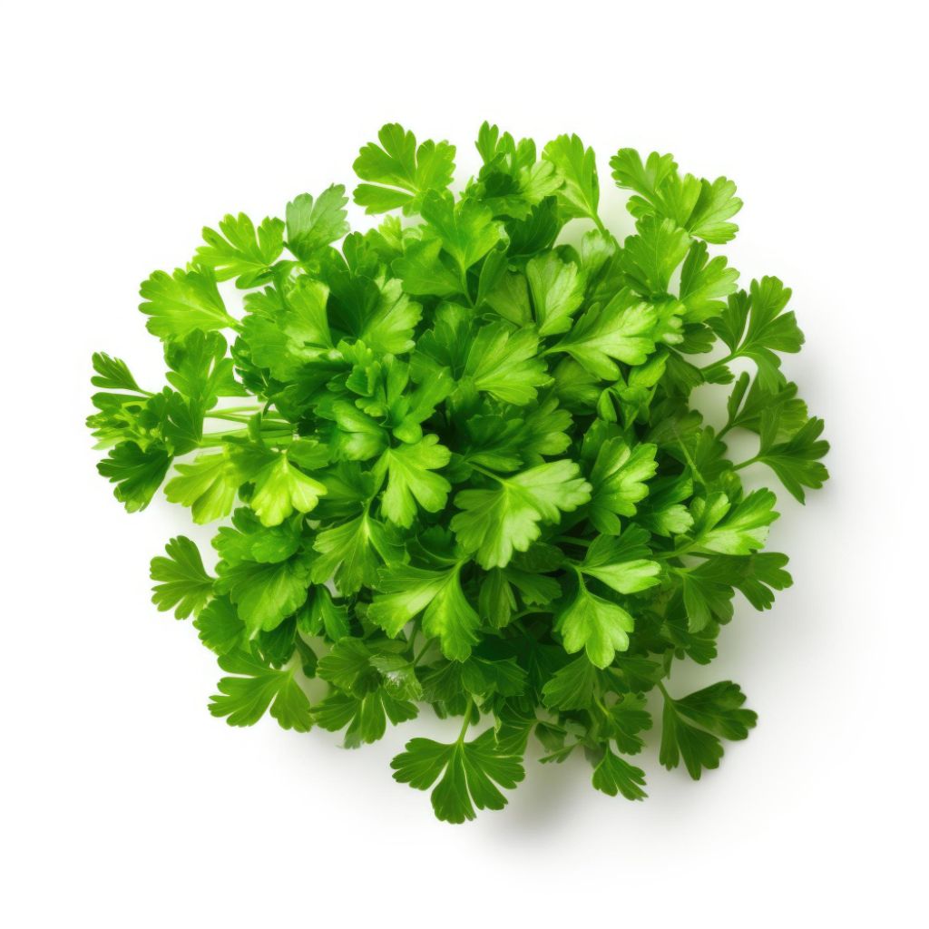 Curly parsley and tabbouleh Curly parsley in sauces and dressings Curly parsley in herb blends Curly parsley and vegetable medleys Curly parsley and seafood dishes Curly parsley and roasted meats Curly parsley and pasta recipes Curly parsley for visual appeal