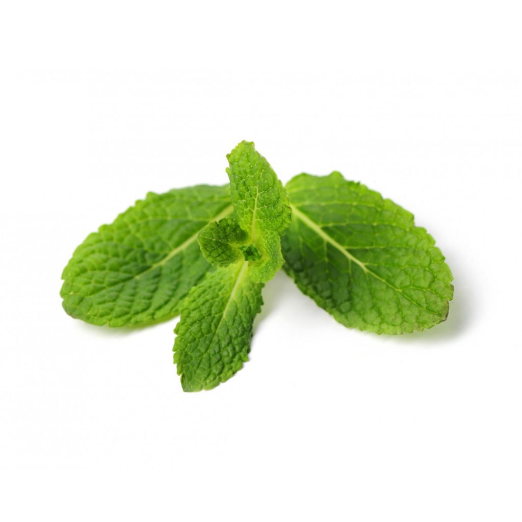 Crushed Spearmint Leaves uses Culinary applications of Crushed Spearmint Leaves