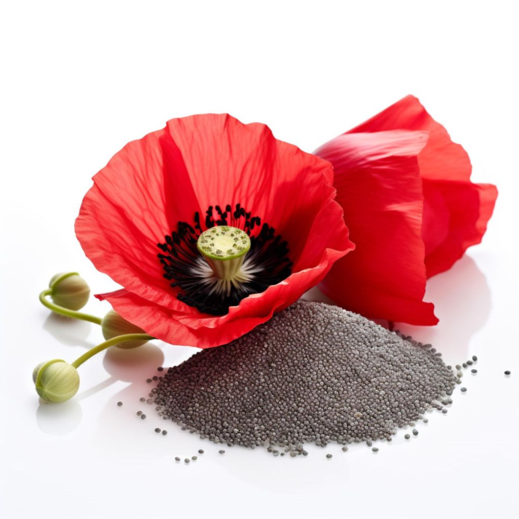 Whole poppy seeds in bagels Whole poppy seeds and lemon flavors Whole poppy seeds and almond flavors Whole poppy seeds in desserts Whole poppy seeds and salads Whole poppy seeds and coleslaw Whole poppy seeds and salad dressings Whole poppy seeds and savory dishes