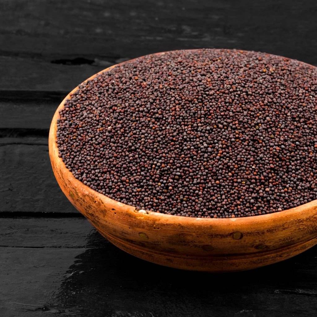 iSpice | Mustard Seed Brown | 7.8 oz | Gourmet Spice | Kosher| Pungent flavor - iSpice You