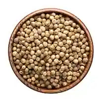 Coriander