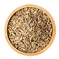 Fennel