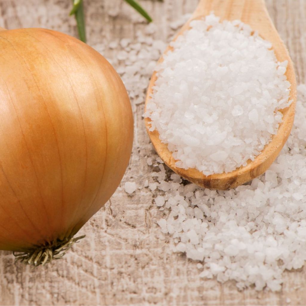 Onion salt in spice blends Onion salt in marinades Onion salt for meat seasoning Onion salt for roasted vegetables Onion salt in soups and stews Onion salt for dips and dressings Onion salt in savory pastries