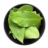 Dried Bay Leaf