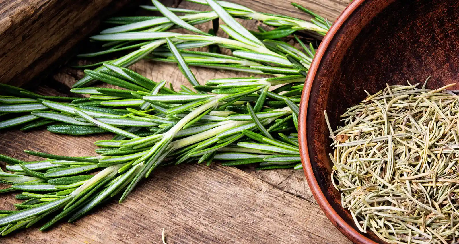 Top 10 Dried Herbs to Enhance Your Culinary Masterpieces
