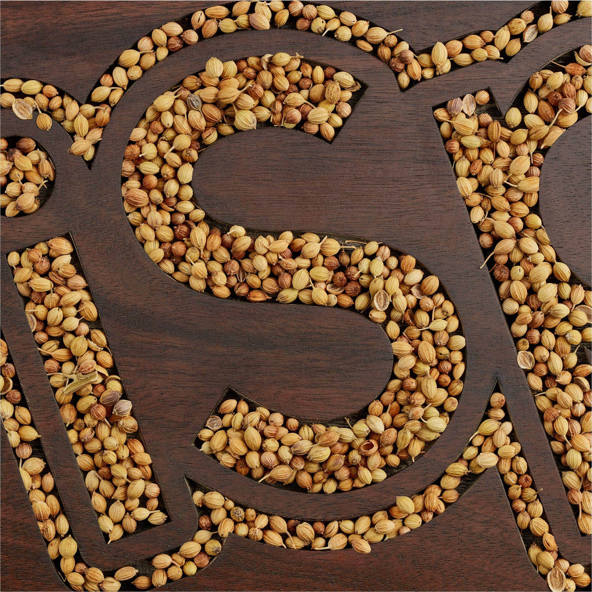 iSpice | Coriander Seed Whole | 3.1 oz | Gourmet Spice | Kosher | Aromatic Essence - iSpice You