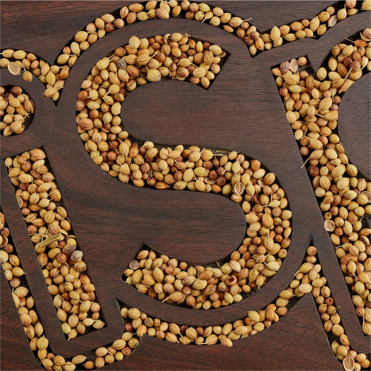 A Guide to Buying the Best Quality Coriander Seed