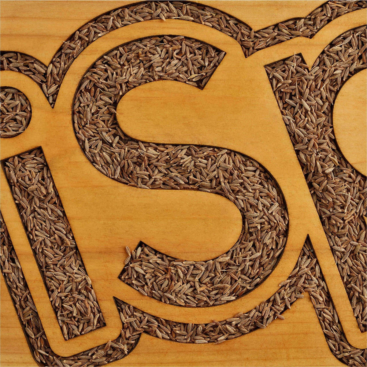 iSpice | Cumin Seed Whole | 5 oz | Gourmet Spice | Kosher | Kitchen Essential - iSpice You